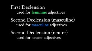 First and Second Declension Adjectives [upl. by Tacye]