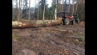 Zrywka kolosa  Próba sił U914 i C360  Okiem ZULa [upl. by Occir]