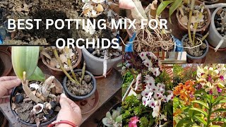 How To Repotting Dendrobium Orchid  Orchid Potting Mix and Care  In Nepali [upl. by Brinson]