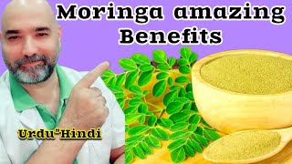 Moringa benefits UrduHindi [upl. by Georgia]