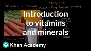 Introduction to vitamins and minerals  Biology foundations  High school biology  Khan Academy [upl. by Ruffi]