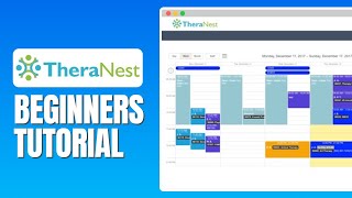 TheraNest Tutorial For Beginners  How To Use TheraNest [upl. by Sollars874]