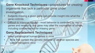 54 Pharmacological Methods and Genetic Techniques [upl. by Barbuto695]