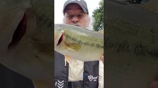 Big Bass On A Maribou Jig bassfishing hardlifesbaitandtackle bass fishing bassfishingismylife [upl. by Ahkos]