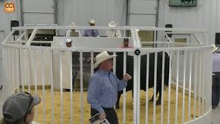 Share The Brands Sale Hereford TX June 2024Jun01180807 [upl. by Marquardt]