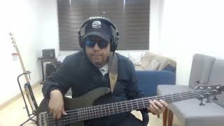 Bass Cover  Cherry Pie  Live San Diego  Sade [upl. by Hadeehuat609]