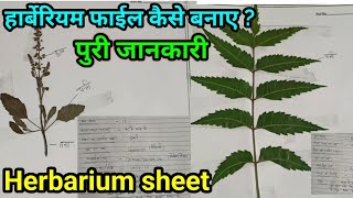 Herbarium File  हार्बेरियम फाइल कैसे बनाए पुरी जानकारी  Biology Project  Science Experiment 🤗 [upl. by Moitoso]