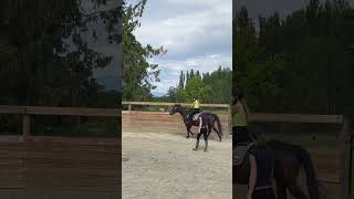 Raw of today’s lesson worked on some sitting trot posting trot and two point [upl. by Bullough]