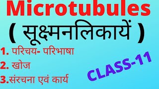 Microtubules सूक्ष्मनलिकाऐ परिभाषा खोज संरचना एवं कार्य [upl. by Aeriela778]