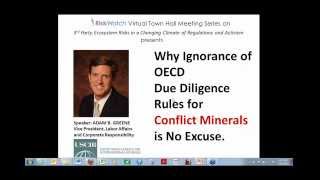 Why Ignorance of OECD Due Diligence Rules for Conflict Minerals is No Excuse [upl. by Saleem824]