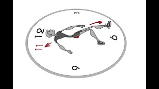 Diagonal Pelvic Tilt Exercise for Lumbar Multifidus amp Internal Oblique Muscles [upl. by Yeroc206]