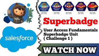 User Access Fundamentals Superbadge Unit  Salesforce Trailhead  Challenge 1 [upl. by Garlan]