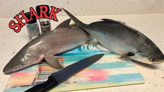 We ate a SHARK  SharkPompano  Catch Clean Cook [upl. by Obrien]