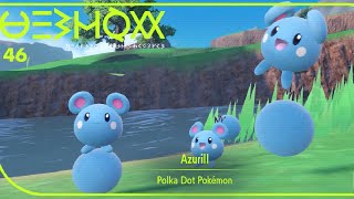 HOW TO GET Azurill in Pokémon Scarlet and Violet [upl. by Comras]