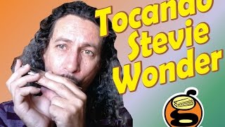 Gaita iniciante  Como tocar Stevie Wonder  Harmônica   Gaita de boca [upl. by Brenza]