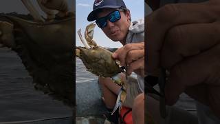 Crabbing tricks from a PROFESSIONAL crabber bodkinpointseafood bluecrabs crabber tipsandtricks [upl. by Lynnelle]