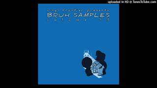 Vinyl Frontier Presents BRUH Samples Vol 73 Track 15 [upl. by Leavitt]