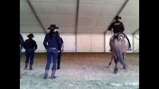 Horse line dance [upl. by Hezekiah]