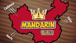 How Mandarin Conquered China the 100 year battle for language unity [upl. by Anauqat]