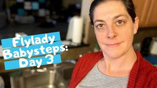 Flylady 31 Beginner Baby Steps  Day 3  Flylady Website [upl. by Cross]