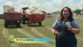 SERGIPE RURAL  PROGRAMA 452 [upl. by Timmons184]