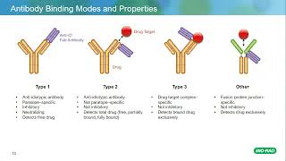 Overcome the Challenges of PK Assay Development Using TrailBlazer Antibodies [upl. by Presley349]