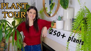 Full Houseplant Home Tour  250 Plants  My Entire Plant Collection [upl. by Durham]