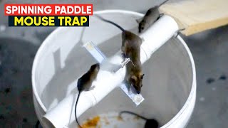 Bucket Mouse Trap  Spinning Paddle Rat Trap  Homemade mouse trap [upl. by Maurene]