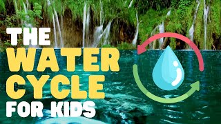 The Water Cycle for Kids  Learn all about the water cycle [upl. by Einra]