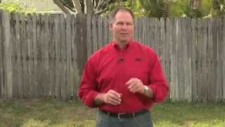 How To Stop Lawn Weeds  Ace Hardware [upl. by Katusha]