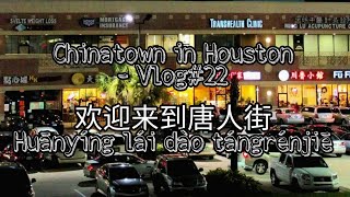 Chinatown in Houston  Vlog22 [upl. by Olin706]