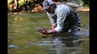 The Esopus CreekA Wild Fishery by Todd Spire [upl. by Reich]