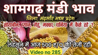 आज का शामगढ़ मंडी भाव  Shamgarh mandi soybean bhav  Shamgarh lahsun bhav Shamgarh pyaj mandi bhav [upl. by Padraic]