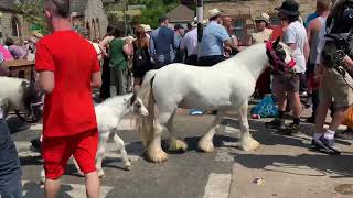 Appleby Horse Fair Saturday 2023 3rd Day [upl. by Born]