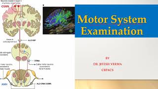 Motor System Examination I UMN amp LMN lesion difference I Assessment of bulk tone amp power of muscles [upl. by Burrton]