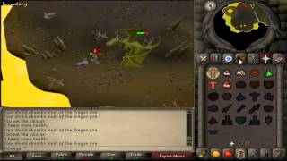 RuneScape 2007  1 Defence Pure Dragon Slayer Elvarg Guide [upl. by Ecyor]