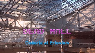 Galleria At Erieview  DEAD MALL in Downtown Cleveland [upl. by Neilson]