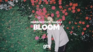 Maribou State Gaidaa  Bloom [upl. by Notslar]