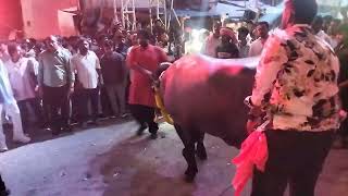 SADARAM AT YELLATELLYGUDA  HYDERABAD sadaram tending video hyderabad traditional new [upl. by Notsnarc11]