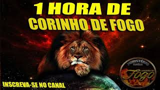 CORINHO DE FOGO PENTECOSTAL VOL 5 CD COMPLETO 2024 [upl. by Ahsiruam]