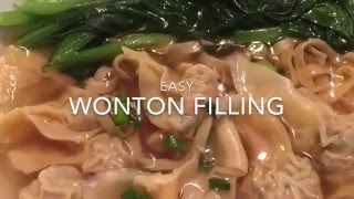 Easy Wonton Filling [upl. by Nickolai543]