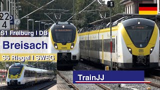 Breisach am Rhein  S1 Freiburg  Br 1440 Alstom Coradia Continental amp S5 Riegel  Br 442 Talent 2 [upl. by Omsoc]