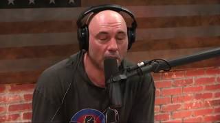 Joe Rogan on Addiction amp Wasting Your Life [upl. by Doralyn]