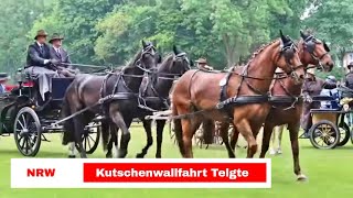 Kutsche fahren auf der Kutschenwallfahrt in Telgte 2018 [upl. by Rekyr]