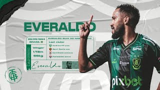 EVERALDO  2022 [upl. by Ayala823]