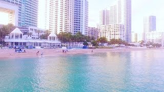 Shark Drone Video Off Beach in South Florida [upl. by Eneryc771]