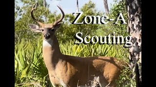 South Florida ZoneA Scouting for Deer [upl. by Jonathon]