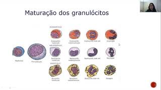 alterações leucocitárias parte 1 [upl. by Rosecan]