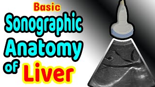 Basic Sonographic Anatomy of the Liver [upl. by Fidelia]