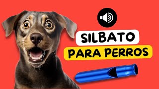 😲 Silbato Para Perros 🐶🔊  SONIDOS PARA PERROS [upl. by Hofstetter]